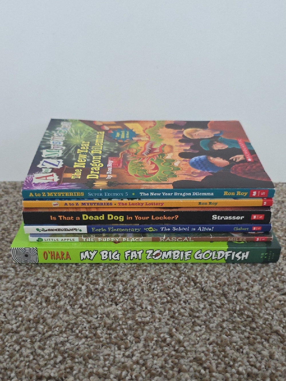 Children's Chapter Book Set Of 6 - Young Readers